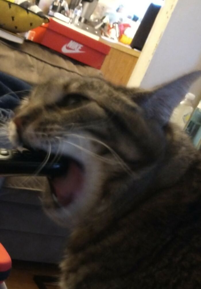 She Has A War With Technology. Similar Events Have Happened With The Dvd Player And My Mom's Smartwatch