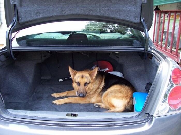 He Was Afraid I Was Going To Leave Him