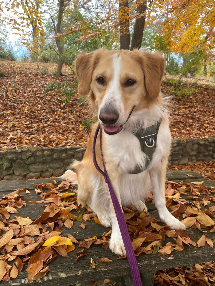 A Beutiful Fall Day With Mary