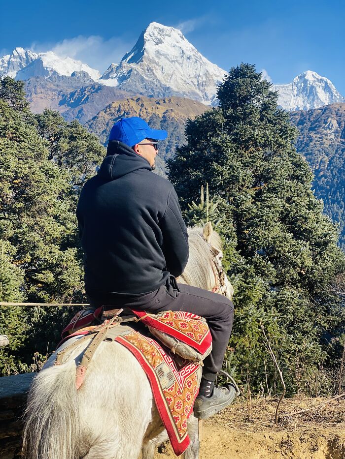 I Spent My Week Hiking The Ghorepani Poon Hill Route In Nepal With A Dog I Spent My Week Hiking The Ghorepani Poon Hill Route In Nepal With A Dog