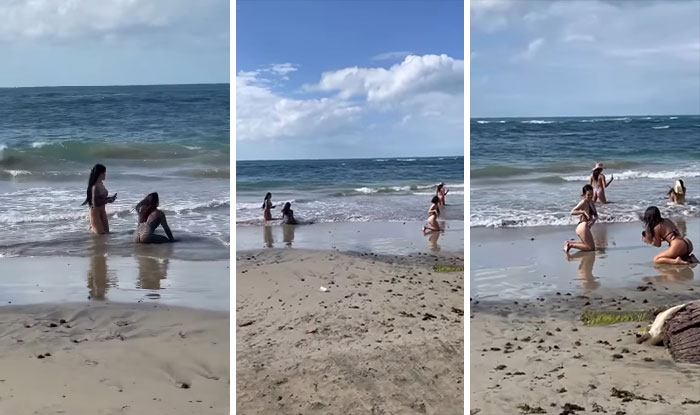 It’s Like Navy Seal Training, But For Influencers