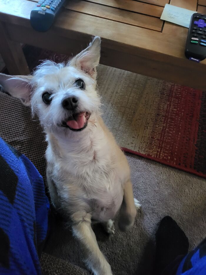 Khalessi Is Happy I'm Awake