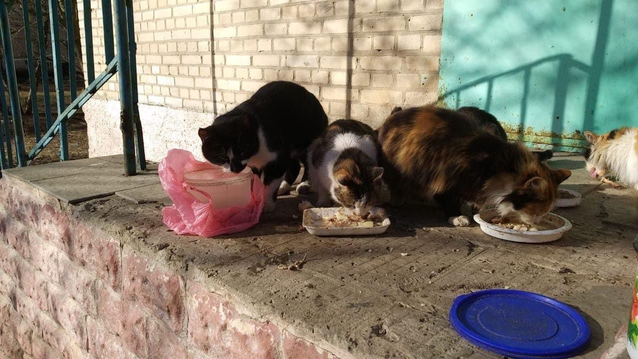 These People In Ukraine Have Dedicated Their Lives To Helping Unfortunate Animals All Across Their Country