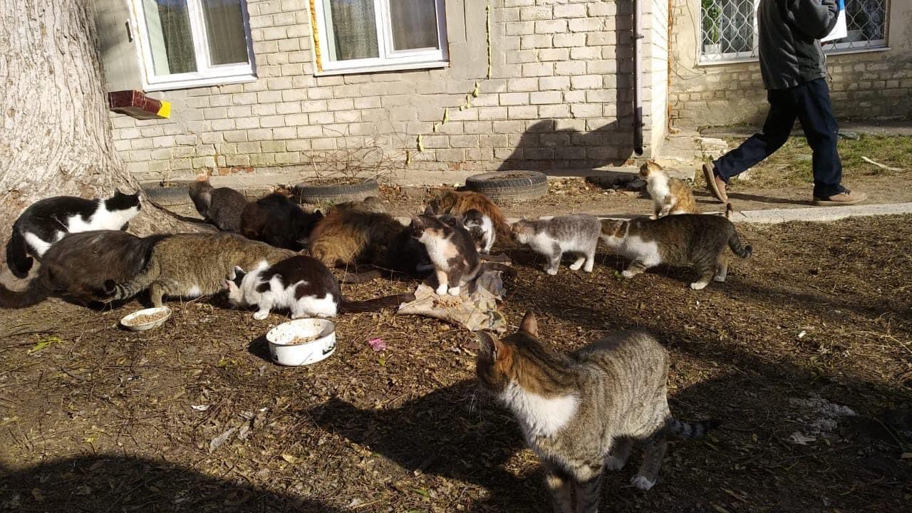 These People In Ukraine Have Dedicated Their Lives To Helping Unfortunate Animals All Across Their Country