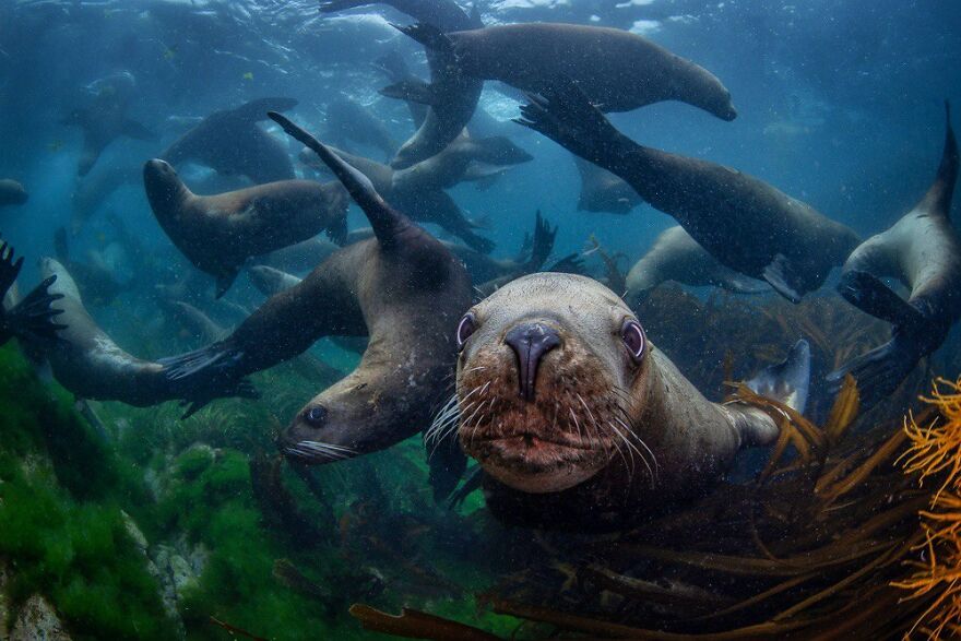 I Traveled To Moneron, A Small Volcanic Island Untouched By Man (10 Pics)