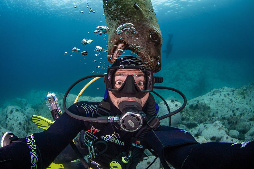 I Traveled To Moneron, A Small Volcanic Island Untouched By Man (10 Pics)