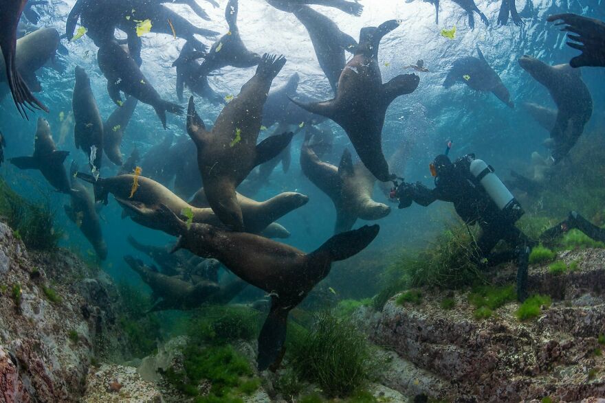 I Traveled To Moneron, A Small Volcanic Island Untouched By Man (10 Pics)