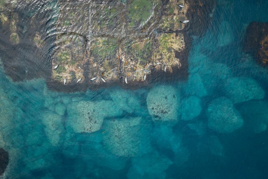 I Traveled To Moneron, A Small Volcanic Island Untouched By Man (10 Pics)