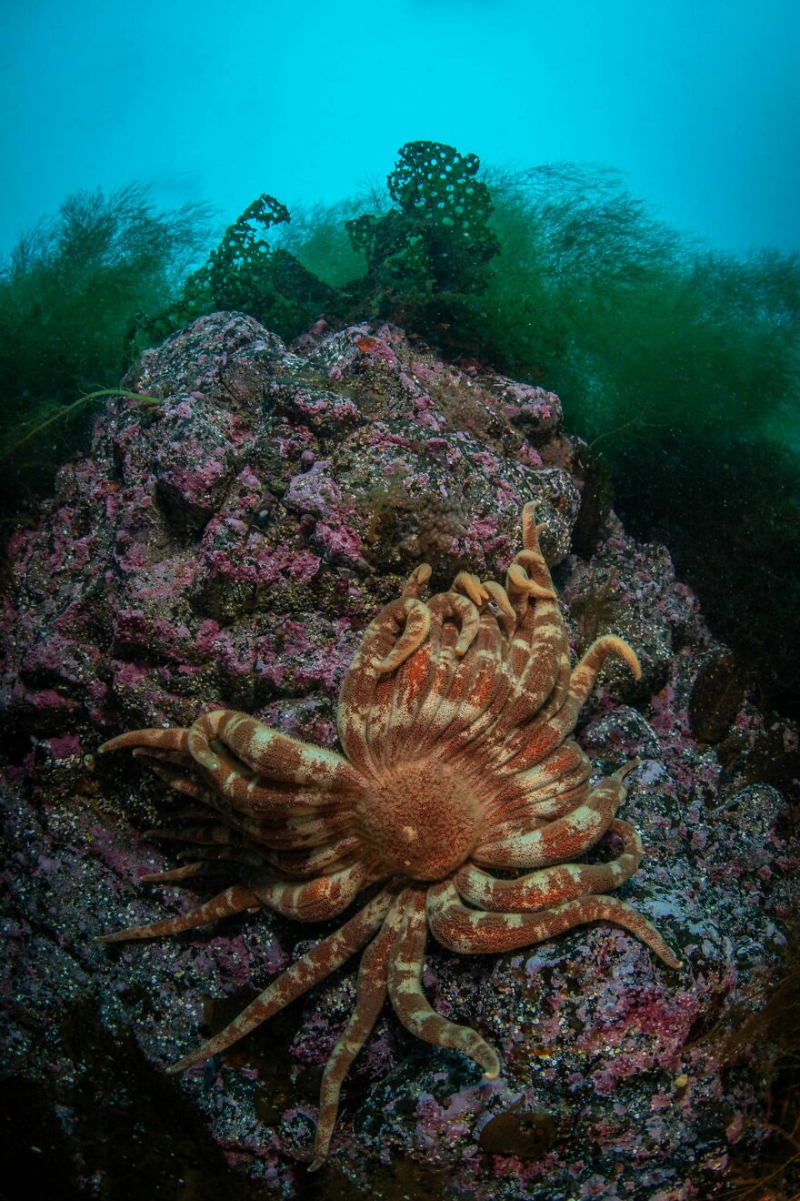 I Traveled To Moneron, A Small Volcanic Island Untouched By Man (10 Pics)