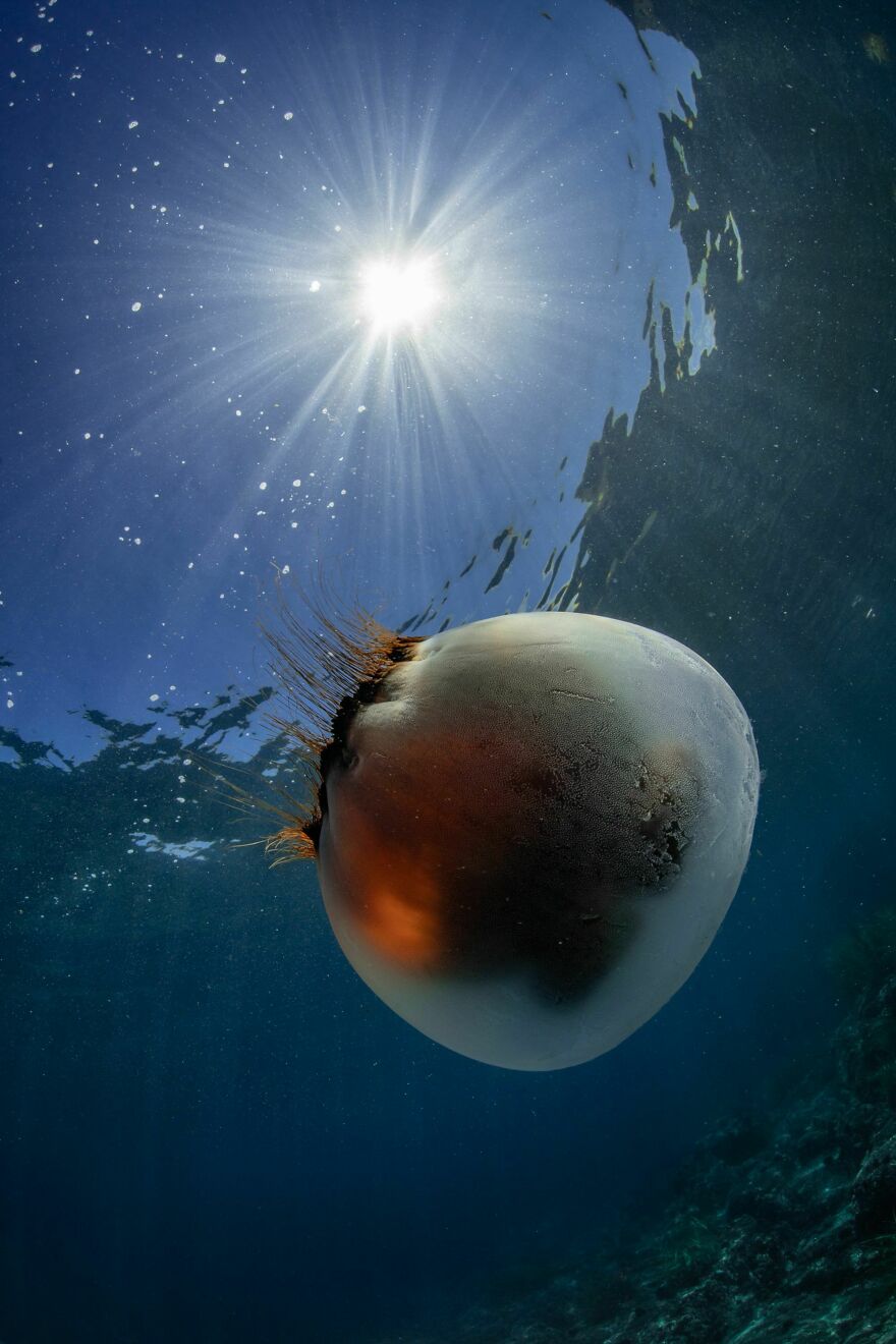 I Traveled To Moneron, A Small Volcanic Island Untouched By Man (10 Pics)