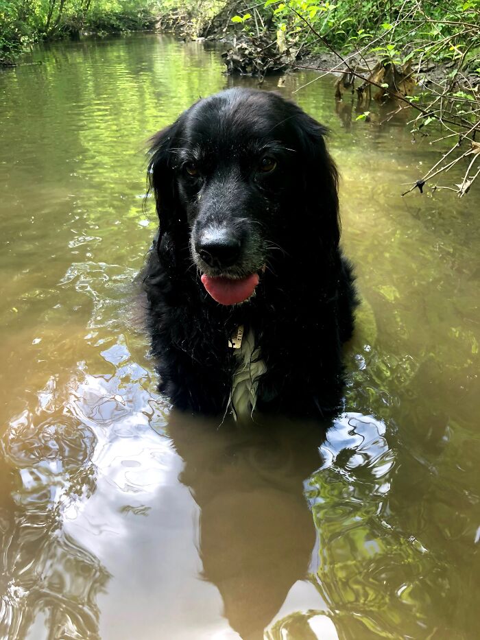 Niah Cooling Off On A Hot Day