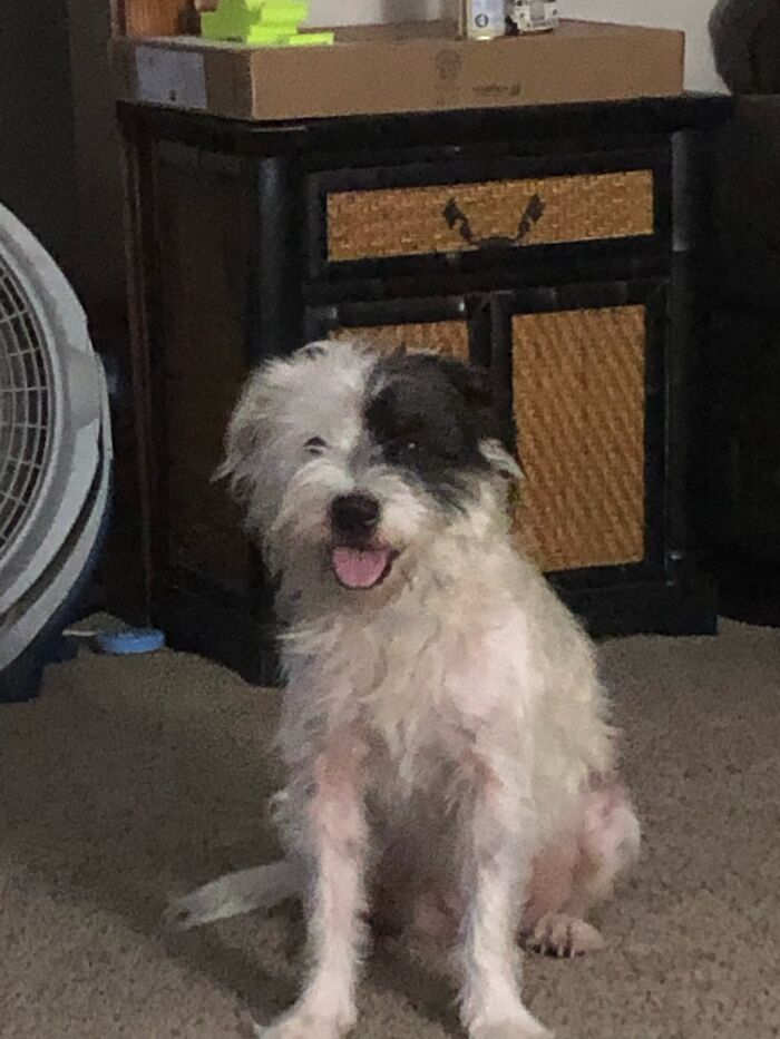 Octavia Patiently Waiting For Her Ball