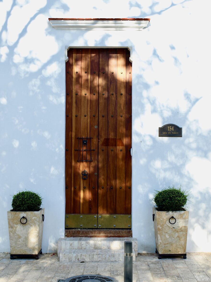 A Wooden Door And Two Plants In The Zona Colonial