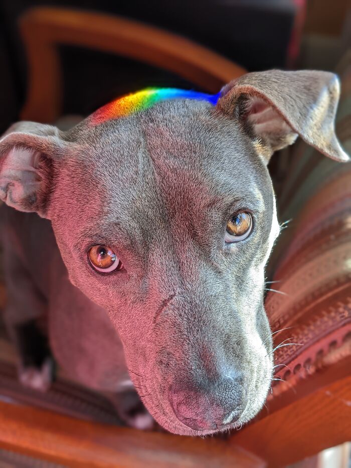 Basking In The Rainbow