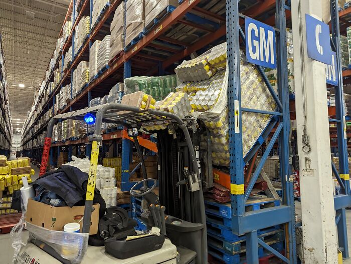 Technically This Is A Cat! The Machine Type