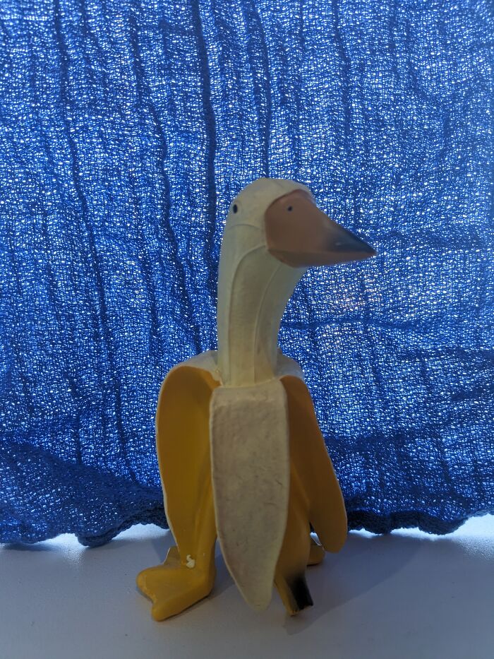 This Is My Most Prized Possession. His Name Is Frank