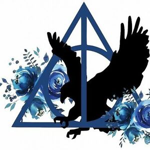 efratamillionstudent avatar