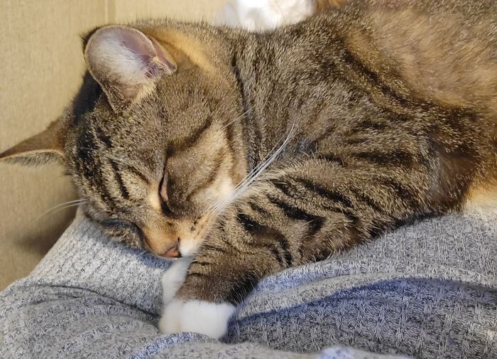 Looking At Her Always Makes Me Happy