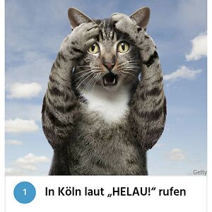 nathalie-diel avatar