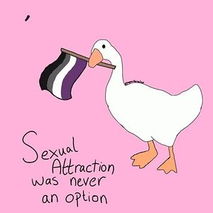 iarlaithmorton avatar