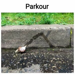 katiewedgner-thorpe avatar