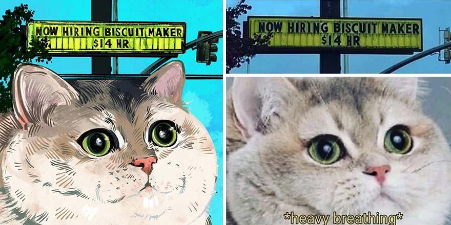 The Funniest Internet-Famous Cat Pics Get Illustrated By Catwheezie (New Pics)