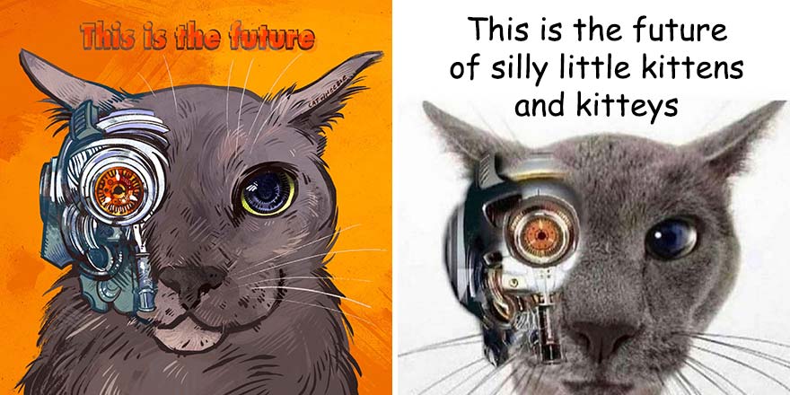 The Funniest Internet-Famous Cat Pics Get Illustrated By Catwheezie (New Pics)