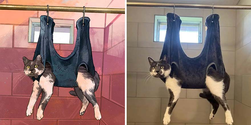 The Funniest Internet-Famous Cat Pics Get Illustrated By Catwheezie (New Pics)