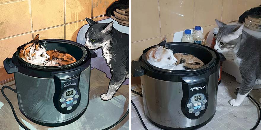 The Funniest Internet-Famous Cat Pics Get Illustrated By Catwheezie (New Pics)