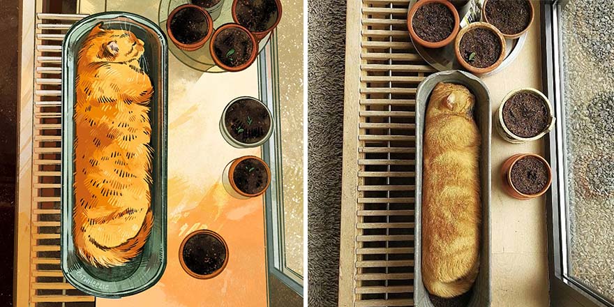 The Funniest Internet-Famous Cat Pics Get Illustrated By Catwheezie (New Pics)