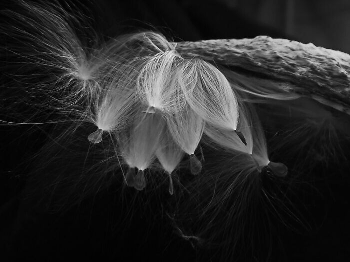 Runner-Up, Young Travel Photographer Of The Year 14 And Under: Zhiyu Zheng (Age 14) - China