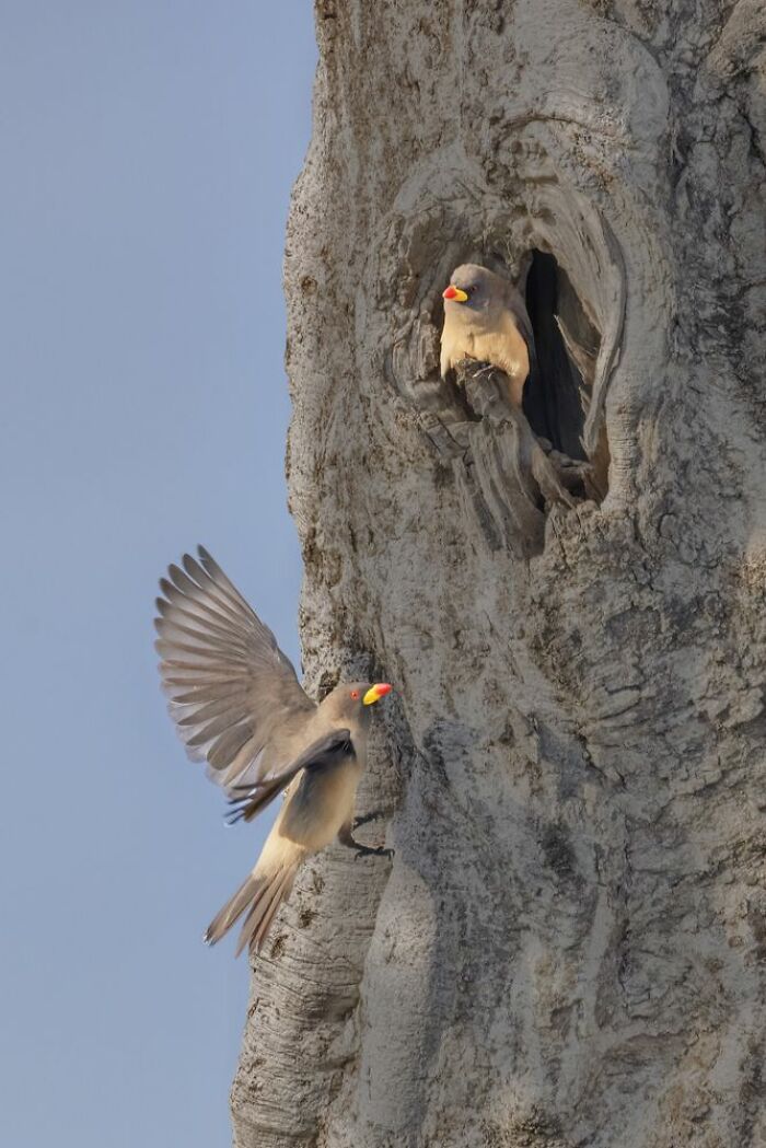 Runner-Up, Young Travel Photographer Of The Year 14 And Under: Rohan Shah (Age 14) - Kenya
