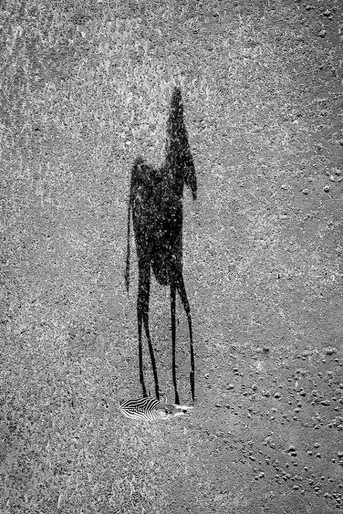 The Art Of Monochrome, Runner-Up: Dana Allen, USA