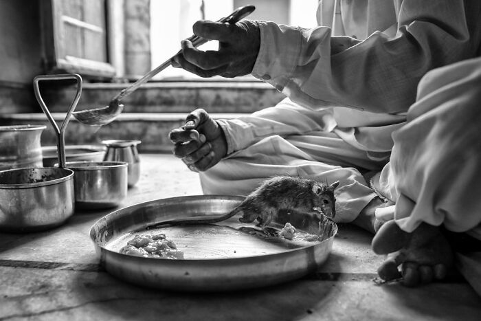 Cultures, Special Mention: Johnny Haglund, Norway