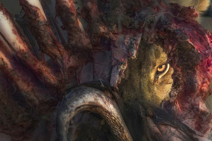 Winner: Best Single Image In A Green Planet, Blue Planet Portfolio: Panos Laskarakis, Greece