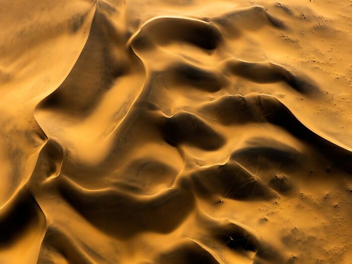 Deserts To Rainforests, Winner: Jaroslav Hora, Czech Republic