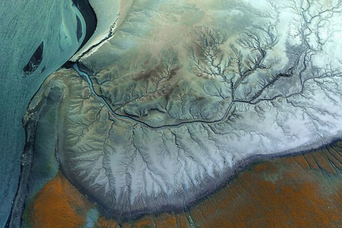 Deserts To Rainforests, Runner-Up: Marek Biegalski, Poland