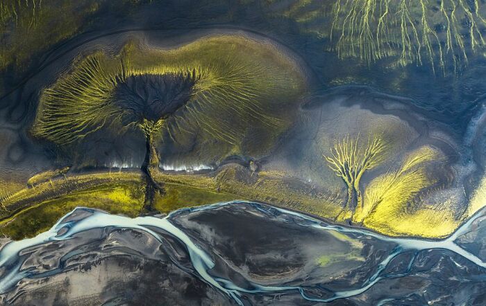 Deserts To Rainforests, Runner-Up: Marek Biegalski, Poland