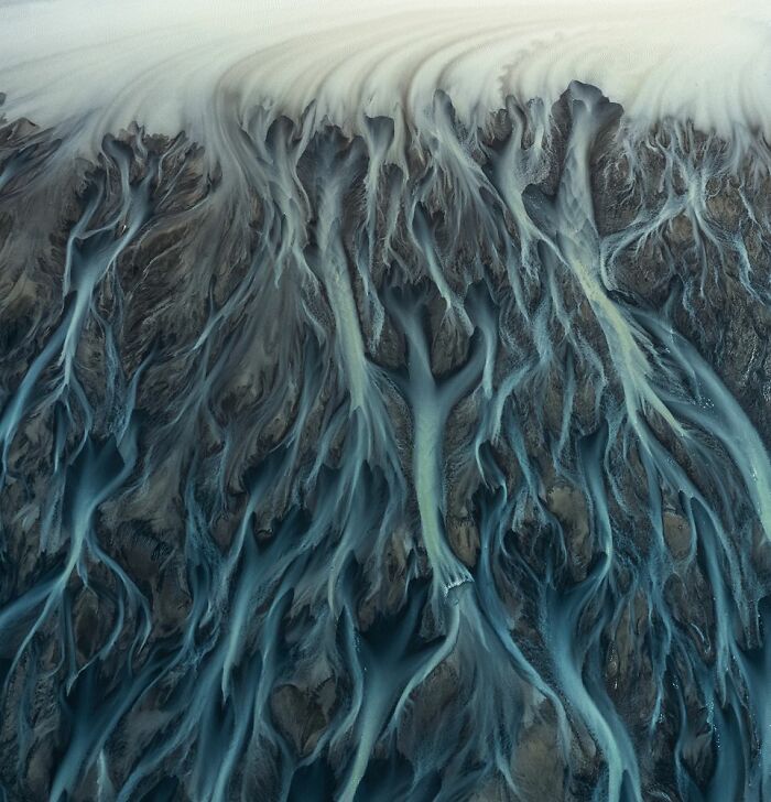 Deserts To Rainforests, Runner-Up: Marek Biegalski, Poland