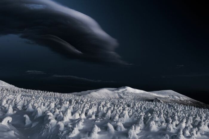 Deserts To Rainforests, Special Mention: Kazuaki Koseki, Japan