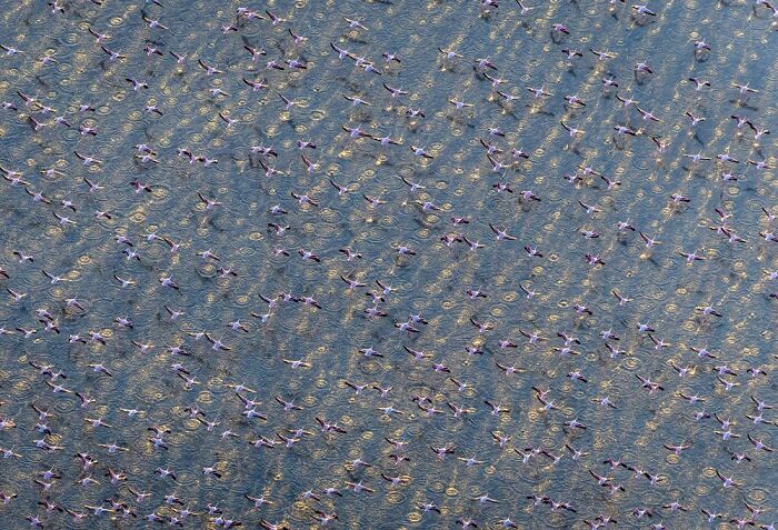 Creative Travel, Runner-Up: Dana Allen, USA