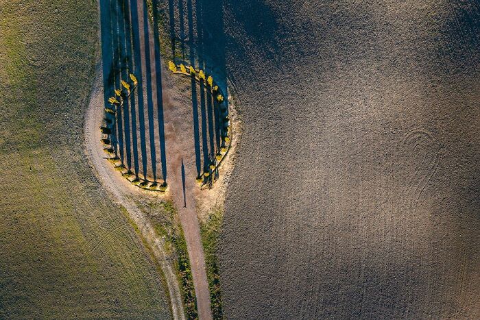 Mark Of Mankind, Winner: Angiolo Manetti, Italy
