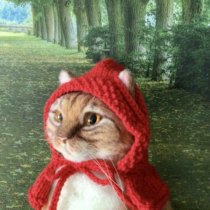 Little Red Hiding Hood