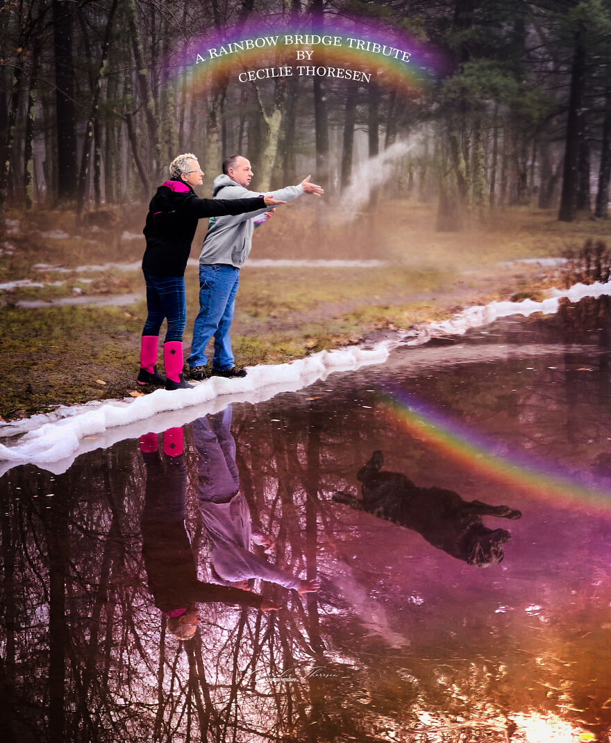 Timber's Tribute Timber's Tribute