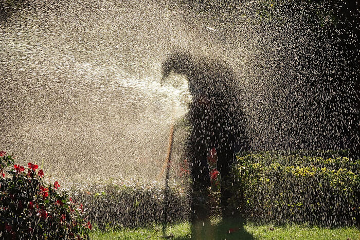 Silhouettes, 1st Place: Heart Of Water By Yue Qiu