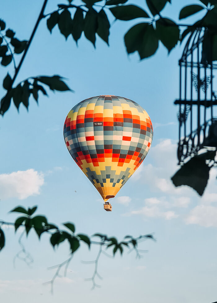 Travel / Adventure / Transportation, Honorable Mention: Framed Flight By Emma Mullan