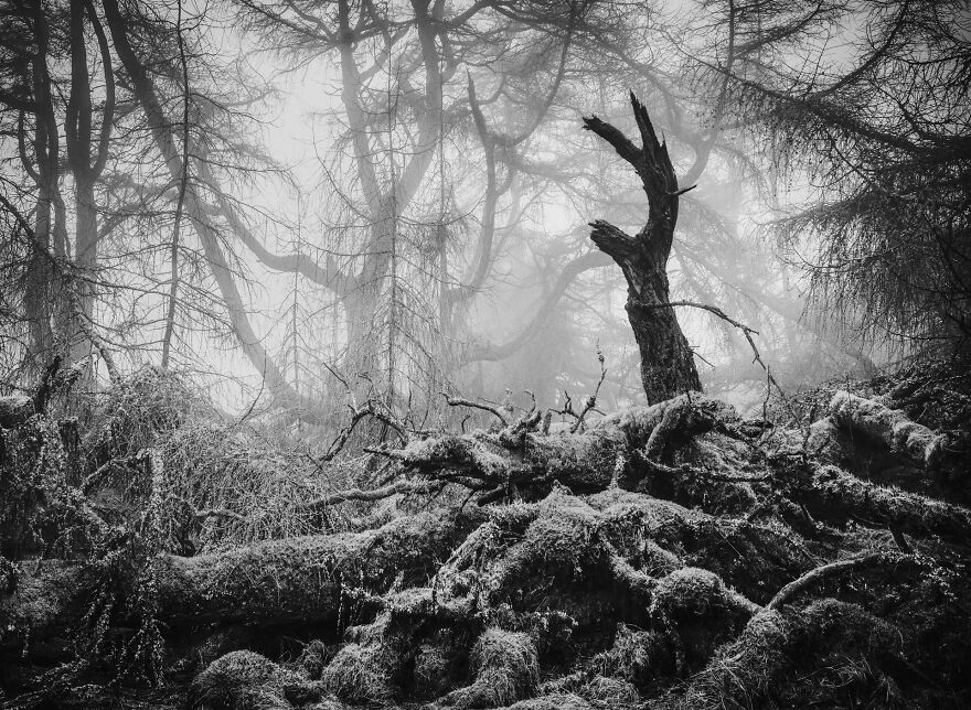 Black & White: Winner - “Great Mell Fell” By Matthew Turner