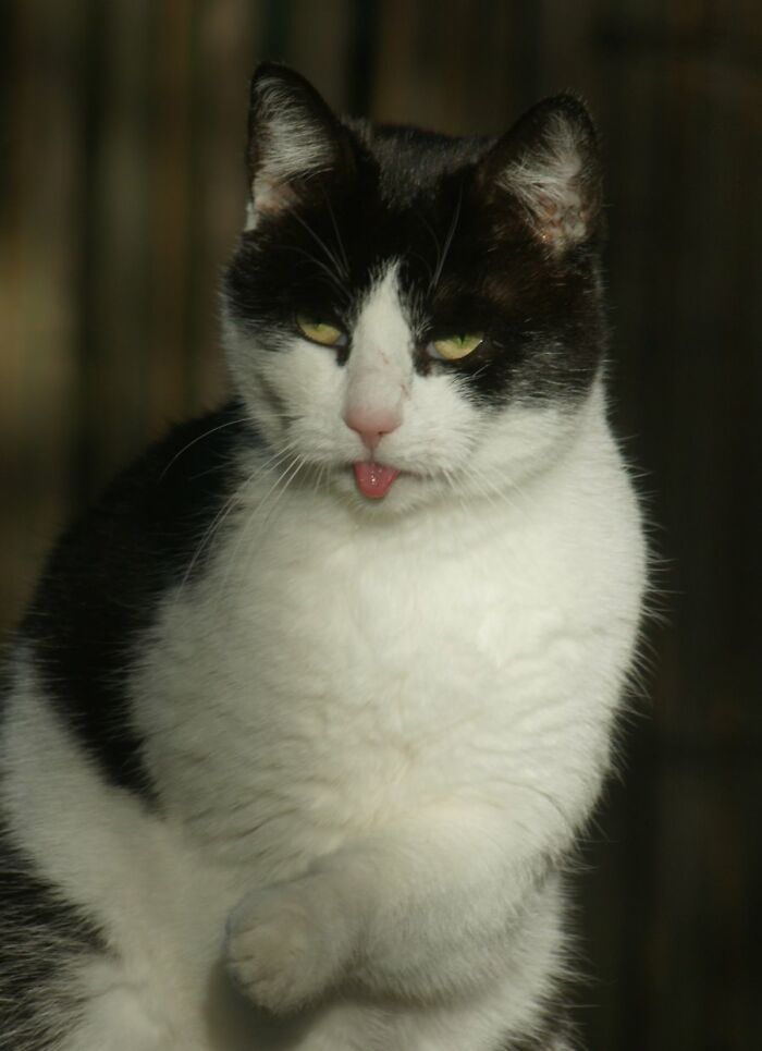 Winnie Looking Slightly Demonic