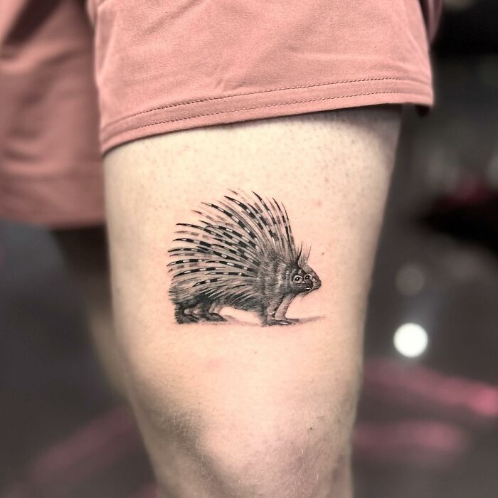 Porcupine tattoo on thigh with intricate details and lifelike appearance.