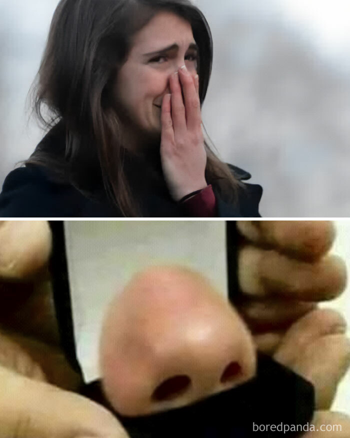 Absolutely Chaotic Memes From The “Absurd Posting” Page That May Leave You Questioning Things (50 Posts)